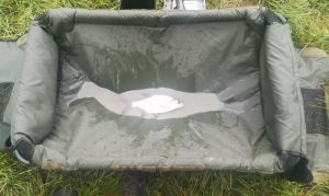 Carp Maraton Masters 2019