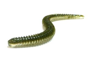 Keitech Nástraha Easy Shaker 9,5cm 1,9g 12ks