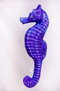 Morský koník - fialový