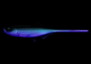 Nástraha Bleak Slug Tail 21cm 35g Cosmos 123