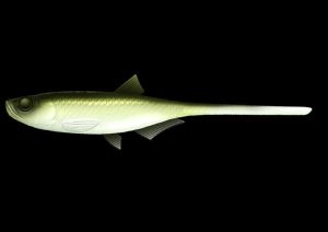Nástraha Bleak Slug Tail 21cm 35g Olive Whitefish