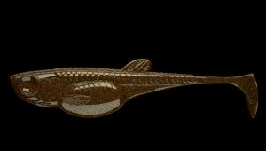 Nástraha Embrion Shad 75mm 8ks Blood 037