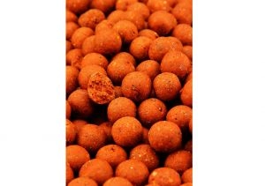 Boilies Evolution 24mm 1kg