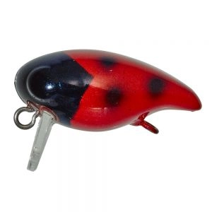 Crank 2.2cm Lady Bird