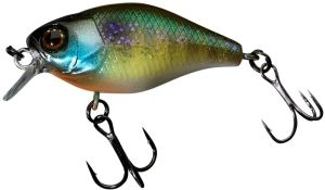Wobler Chubby 38 Etto Noike Gill
