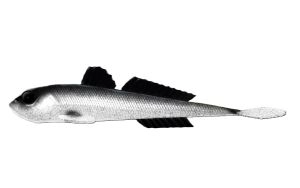 Nástraha Gobio 18,6cm 40g Ghost 002
