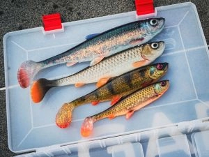 Savage Gear Nástraha Herring Shad V2 17,5cm 2ks