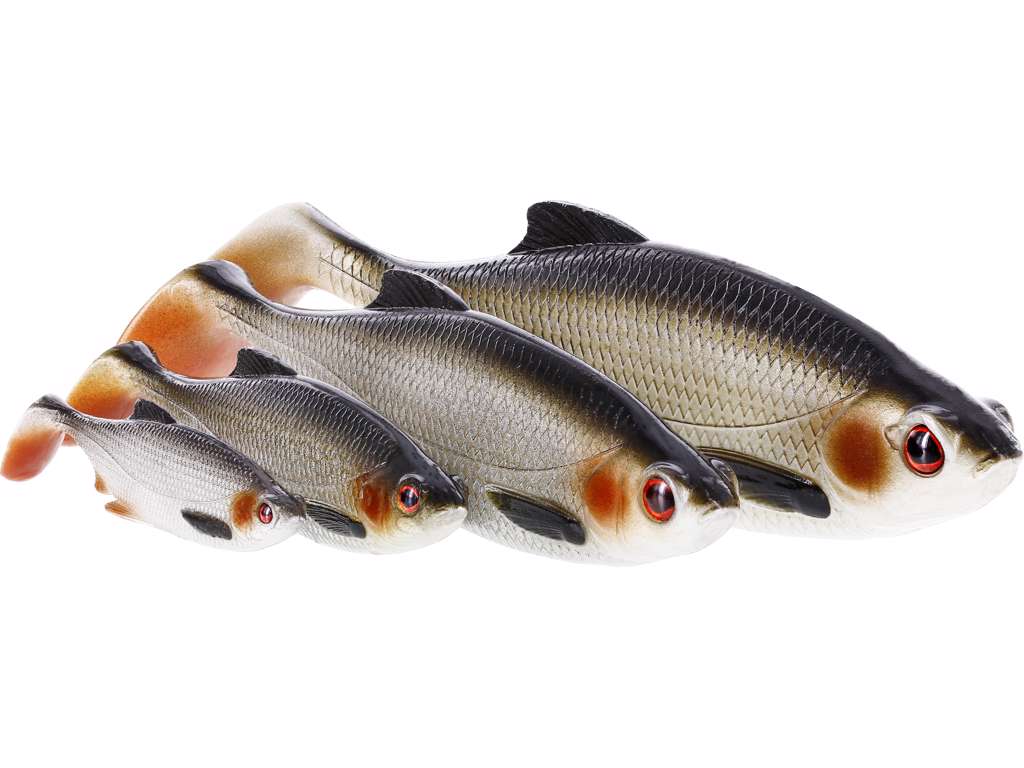Westin Nástraha Ricky the Roach Shadtail 10cm 14g Preyfish