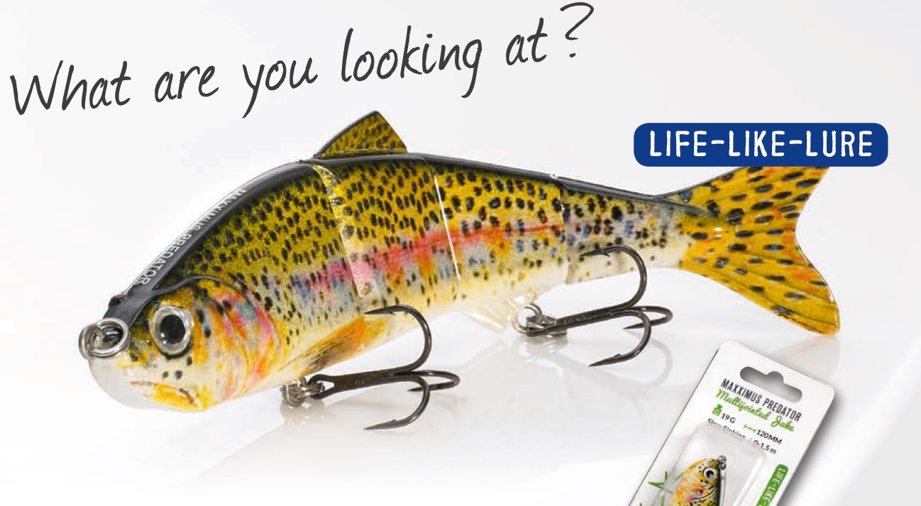 Fladen Wobler Realistic Multijointed Jake 12cm 19g Pstruh