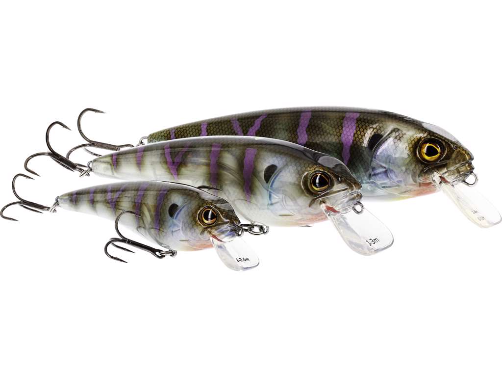 Westin Wobler Rawbite Crankbait 100g 17cm Bling Perch