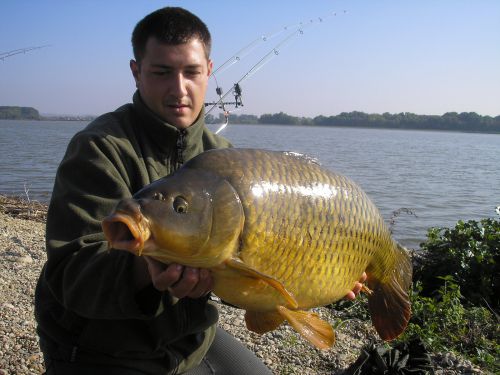 Tomáš Dobrovodský - šupináč