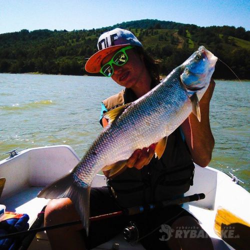 Jakub Čurilla - Boleň dravý - 75cm, ulevený na VN Domaša, wobler od Pl firmy SALMO (minow 5cm F), orietujem sa najmä na lov boleňov dravých, či z lode alebo z brehu.