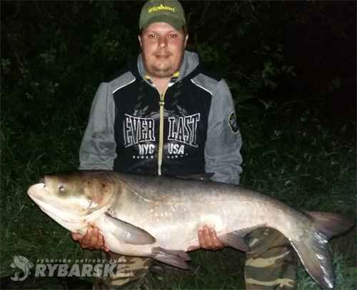 Peter Drahoš - Tolstolobik, 119 cm pri vláčení na 20g prút, vráteny vode