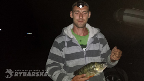 Štefan Ecker - 37cm krásavec chytený na živú rybku