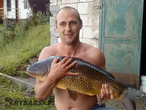 Štefan Ecker - Kapor, 85cm, 11.336kg, návnada medová kukurička. Chytený na štrkovisku Malé Leváre. Kapor vrátený do vody.