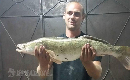 Štefan Ecker - Zubáč, chytený na prívlač, 87cm, 8.45kg, mŕtve rameno Raudazi