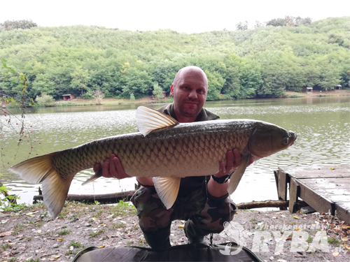 Gabo Škorvánek - Amur, 1 m, 10 kg, jazero Plášťovce, pustený do vody
