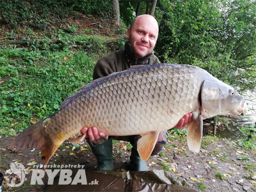 Gabo Škorvánek - Kapor, 15.5 kg, jazero Plášťovce, pustený do vody