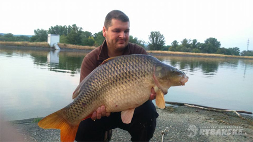 Peter Stacho - 9kg šupináč