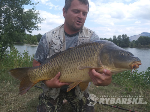 Rastislav Trenčan - Kapor, 96cm, 17kg, chytený na peletu a boilies halibut, pustený do vody, rybník sigôtka Dulov