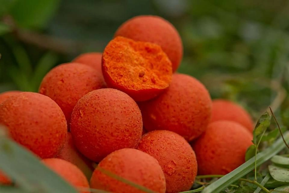 Boilies Probiotic Peach Mango with N-Butyric / AKCIOVÁ PONUKA