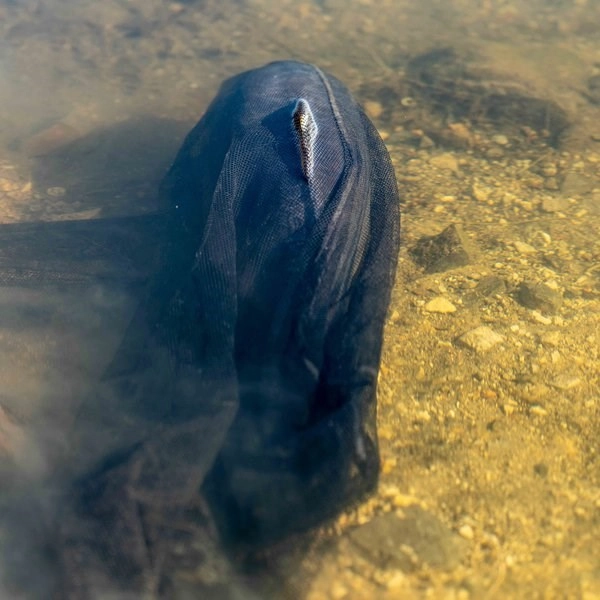 Náhradná Sieťka na Podberák Air Force Landing Net Mesh 46 / Podberáky / doplnky k podberákom